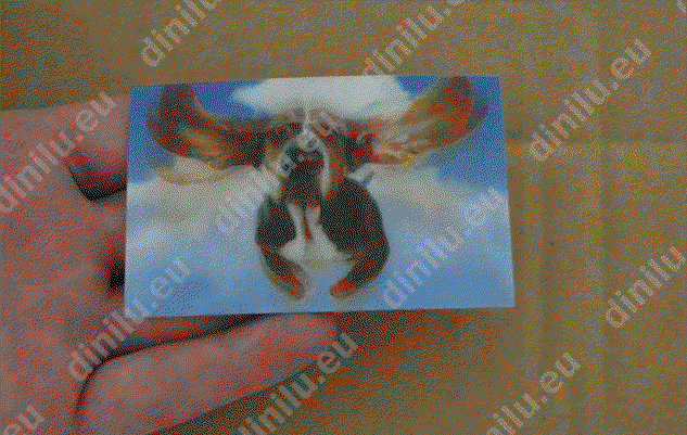 Lenticular print 54x86mm image